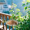 Bird Feeder Tray Large Capacity Hangable Iron Large Bowl Bird Feeder for Outside Garden Yard Railing Balcony Decoration