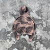 3D Digitale Print Kleurverloop Hoodie Unisex Streetwear Rits Sweatshirt Losse Pasvorm Lange Mouw