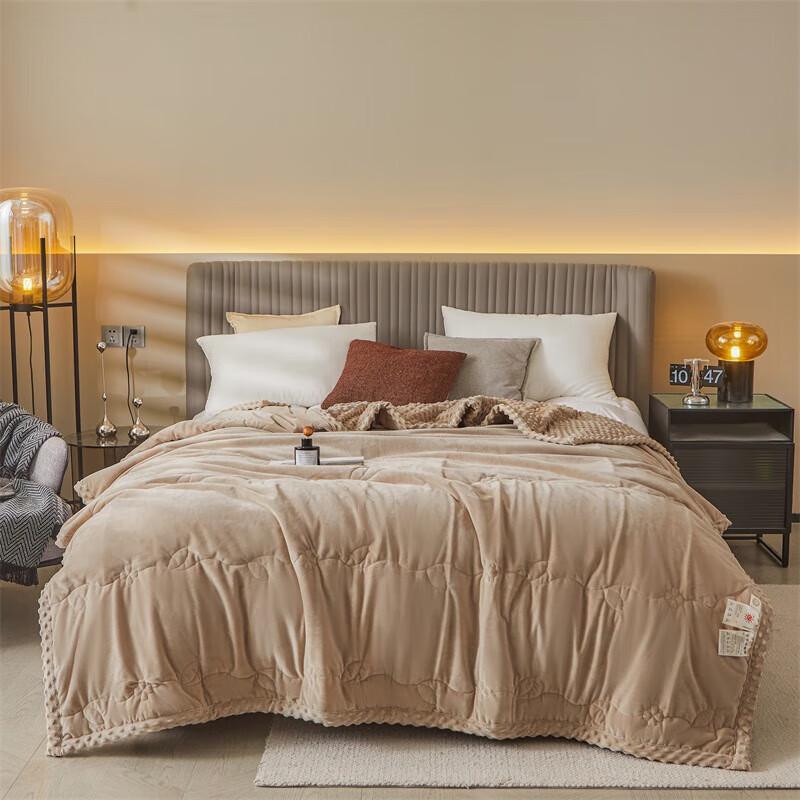 

Red Dragonfly Bean Fleece Winter Quilt