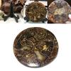 Exquisite 1pc Natural Ammonite Fossil Quartz Crystal Disk Shell Plate Conch Stand
