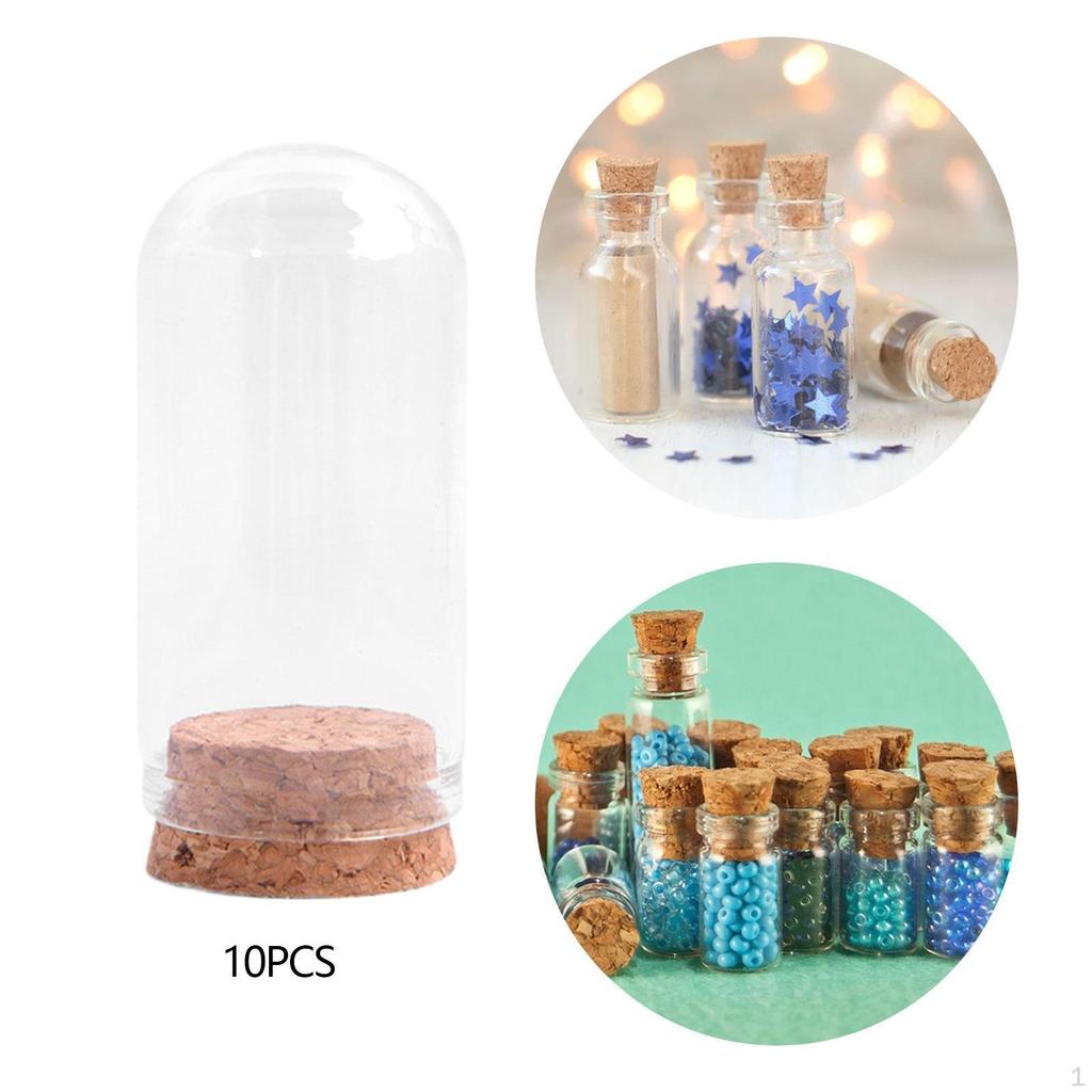 10 Pieces Glass Display Domes Decorative Jars Multifunctional Cloche Bell for Specimens Home
