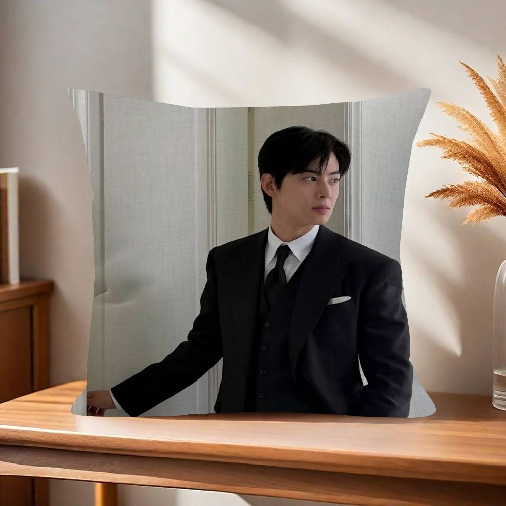 Singer Cha Ido EunWoo  45*45cm Cushion Cover Pillow Cover Decor Pillowcase Home Pillowcase for Couch Pillow