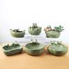 Glazed Ceramic Large Diameter Platter Succulent Creative Individuality Old Animal with Non-porous Flower Pot At The Bottom