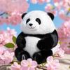 Hua Hua Panda Plush Toy