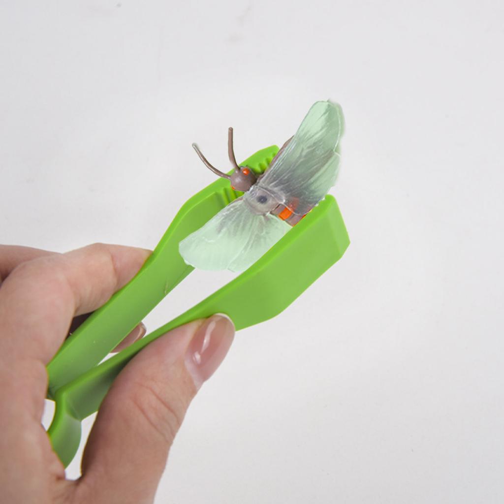 Color Box Packaging Outdoor Toy Adventure Insect Observation Box Rubber Watch Observation Clip  Magnifying Glass  Puzzle Early