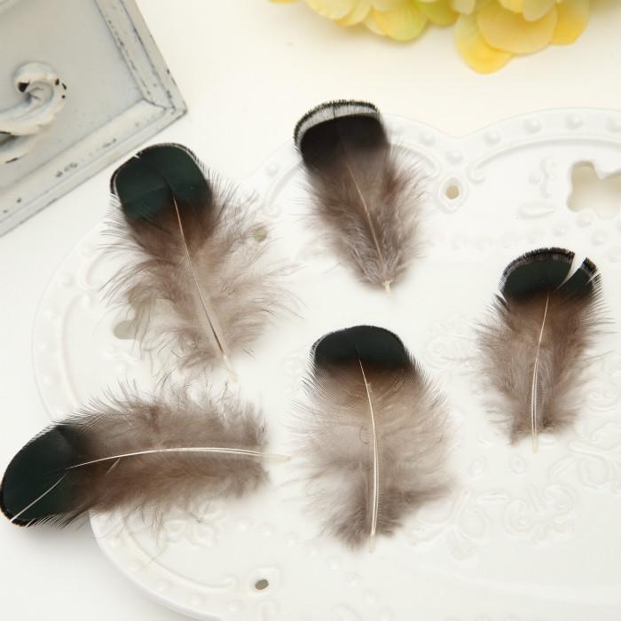 50Pcsdiy Jewelry Accessories Feather Diy Feather Headdress Corsage Hat Shoes Handicrafts Decorative Materials
