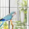 Stainless Steel Bird Cage Bell Toy Hanging Chew Toy for Parrot Parakeet Budgie Cockatiel Conure African Grey Pet Birds