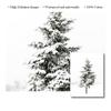 Winter Schnee Wald Hirsch Eule Sonnenlicht Landschaft Malerei Nordic Morgen Landschaft Leinwand Poster Drucken Kunst Wand Bilder Wohnkultur