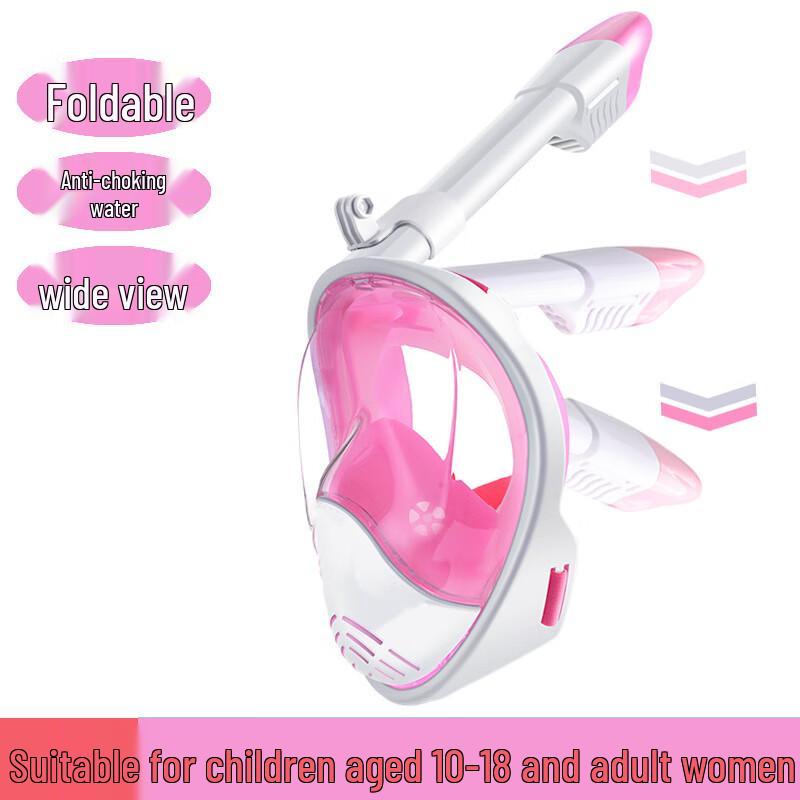 Alliance Envoy Foldable Full Dry Snorkeling Mask Set