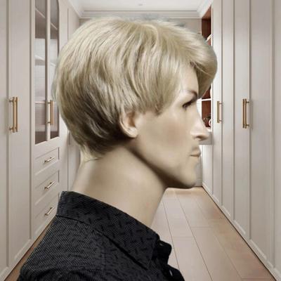 Perruque courte pour hommes, frange latérale, fibre naturelle moelleuse de haute température, beaux cheveux synthétiques blonds pour hommes