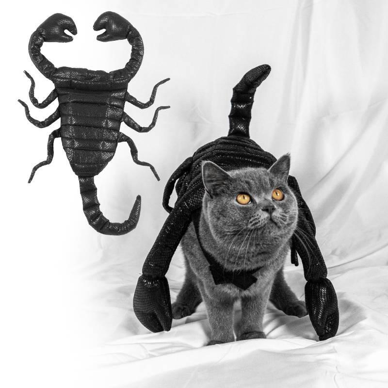 Halloween Haustier Kostüm Süßes Skorpionkönig Kostüm Für Katzen Und Hunde Aus Schwarzem Stoff