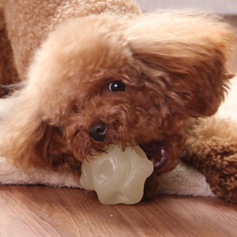 

Interactive Dog Ball Glowing Bouncing Rolling Balls For Dogs Dog Chew Toys Dog Glowing Pet Chew Ball For Small Medium Puppy Cats United States