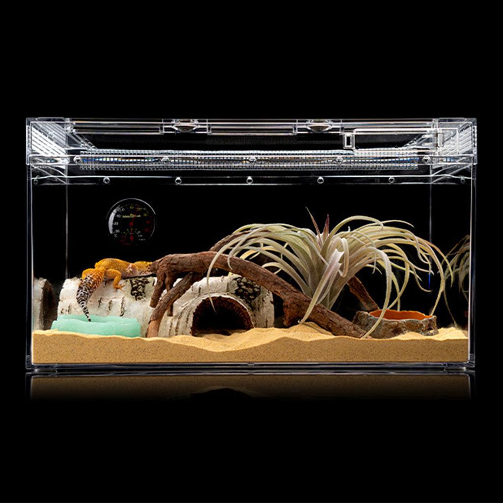 Harz Reptilien Futterspender Futter- und Wassernapf für Schildkröten Eidechsen Hamster Schlangen Schildkröten Geckos Kleine Haustiere Futterspender Haustierbedarf