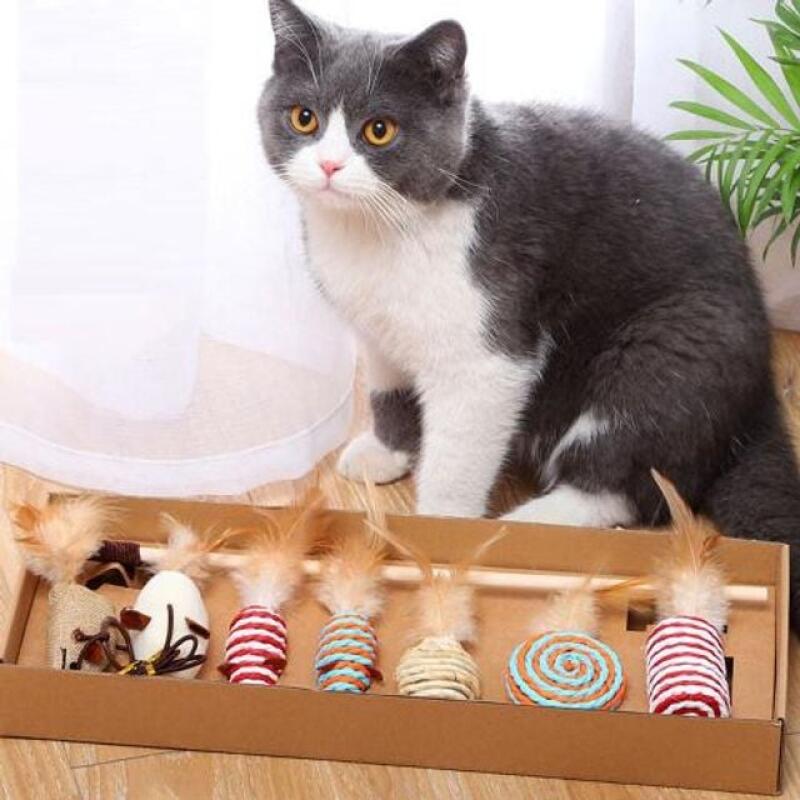 

7-piece set of cat teething fishing toys