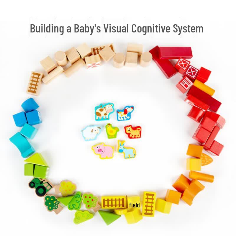 Hape Wooden Building Blocks Collection