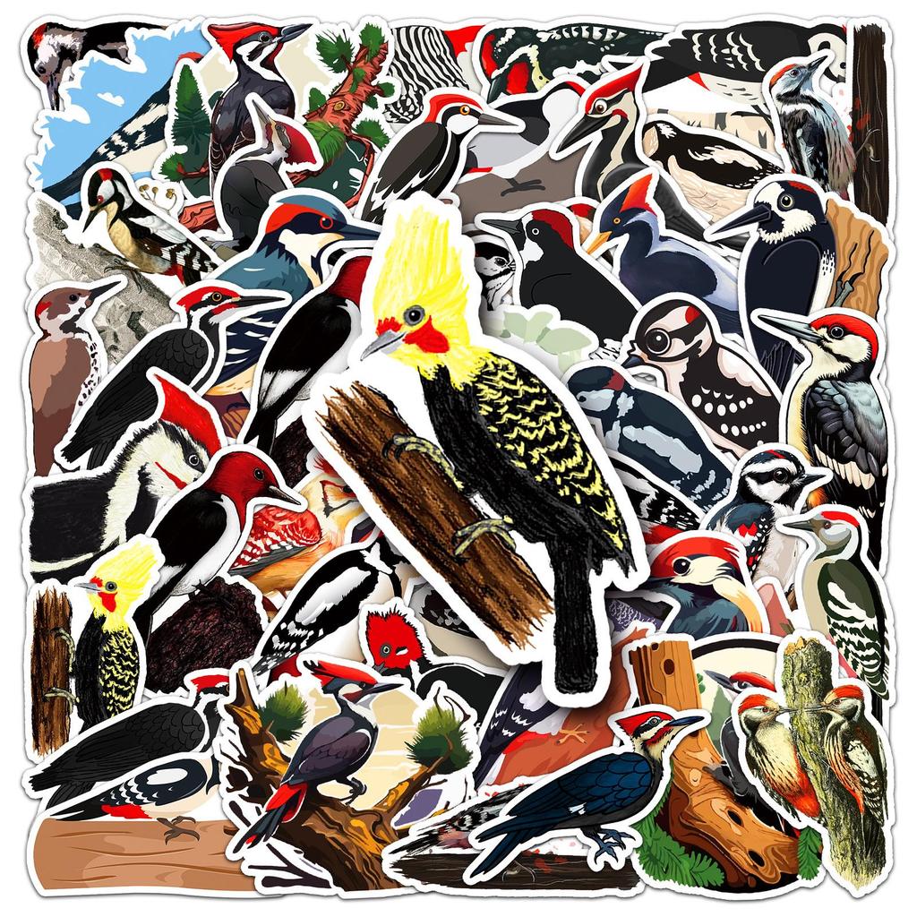 50 Pcs Woodpecker Stickers - Cartoon Forest Animals, Waterproof DIY Decoration for Phone, Laptop, and Journal