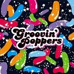 CD VARIOUS  Groovin Poppers PCD4387 PVine Records 2008 Japan Jazz Used