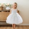 Little Girls Black Hollow Lace Mesh Sleeveless Princess Party Dress