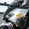 Car Sticker Motorcycle Surprise Cat Peeking Sticker Funny Vinyl Decals Waterproof Window Cute Decor Auto Accessories 12x5CM