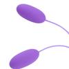 Dual Vibrator 12 Frequenz Vibrierende Ei Klitoris Stimulator USB Erwachsene Produkt Sex Spielzeug für Frauen Weibliche Masturbation