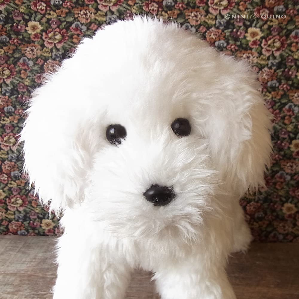 Ninian and Kino Realistic Toy Poodle Plush Toy Freely Approximately 33cm Lifelike Pet (White) - Poseable, Long,