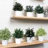 Simulated Bonsai Green Plants Succulent Plant Potted Artificial Flower Ornament Office Desktop Decoration Home Room Decoration
