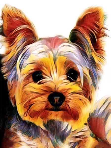 Diamentowe Malowanie Pies Zwierzę Diament Haft Yorkshire Terrier Mozaika Dekoracja Malowanie Diamentami