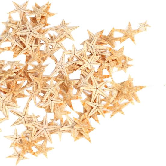 Ogrmar Маленькая Морская Звезда Ракушка Морская Раковина Пляжное Ремесло 0.4 -1.2  90 шт.