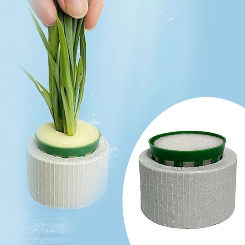 30 Stück Keramik Pflanzengewichte Kein Auftrieb Vegetationsstabilisatoren für Aquascaping Landschaften