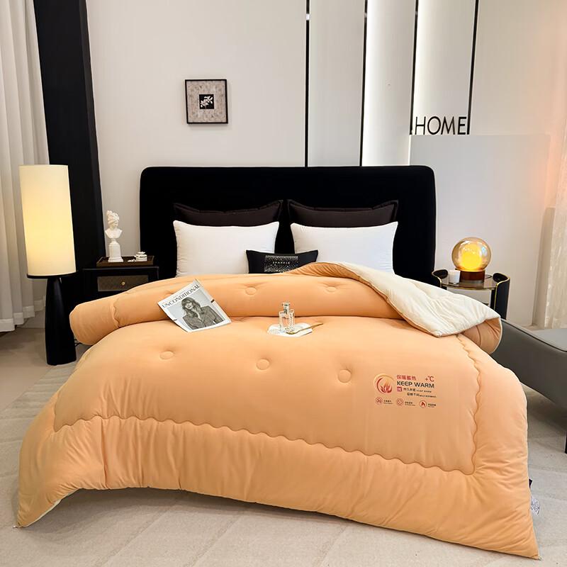 PAUI DAVID All-Season Antibacterial Warm Duvet Insert