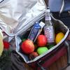 Handheld Insulated Cooler Bag Oxford Cloth Cooler Lunch Box Durable Thermal Lunch Bag  Camping