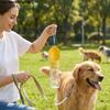 Auslaufsichere Outdoor-Hundewasserflasche mit Filter Abnehmbarer Hunde-Wassspender Versiegelte separate Nass- und Trockenbereiche Haustier-Reisebecher