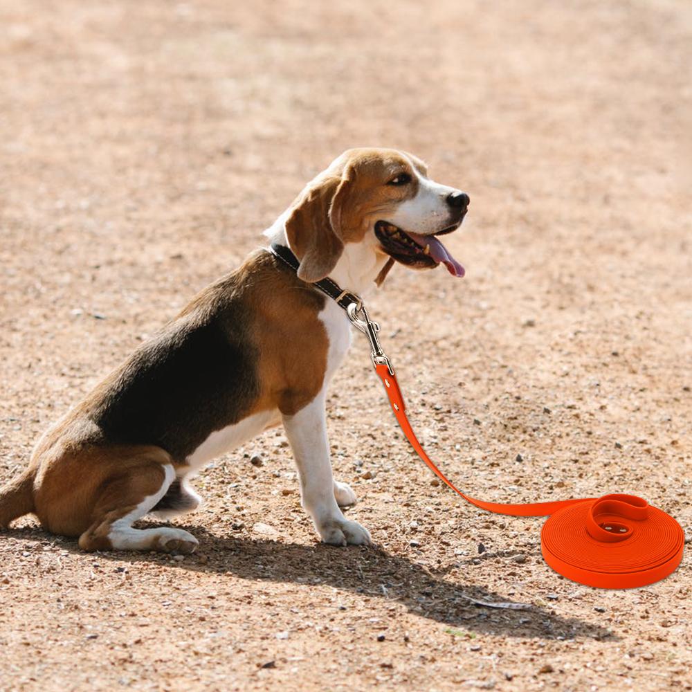 Wasserdichte Hundeleine Lang Pvc Haustierleinen Leicht zu Reinigen Seil für Kleine Mittelgroße Große Hunde Spaziergang Training Leine 3m 5m10m 15m