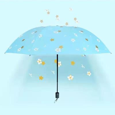 Accessori – Ombrelli