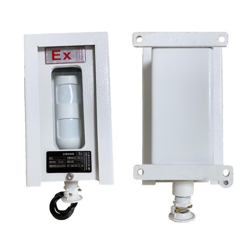 AEBELL Explosion-Proof IR Alarm Detector CN plug (adapter included)