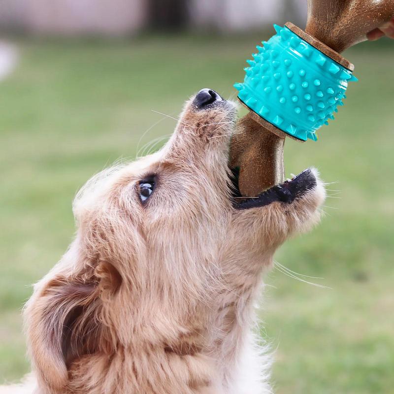 Spiky Bone Dog Toy Spikey Dog Teething Chew Toys Treat Dispensing Teething & Soothing Chew Toy Teething Sturdy Pet Toys For
