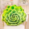 Cuscino Peluche Succulenta Stile Ins - Cuscino Creativo per Ufficio & Regalo