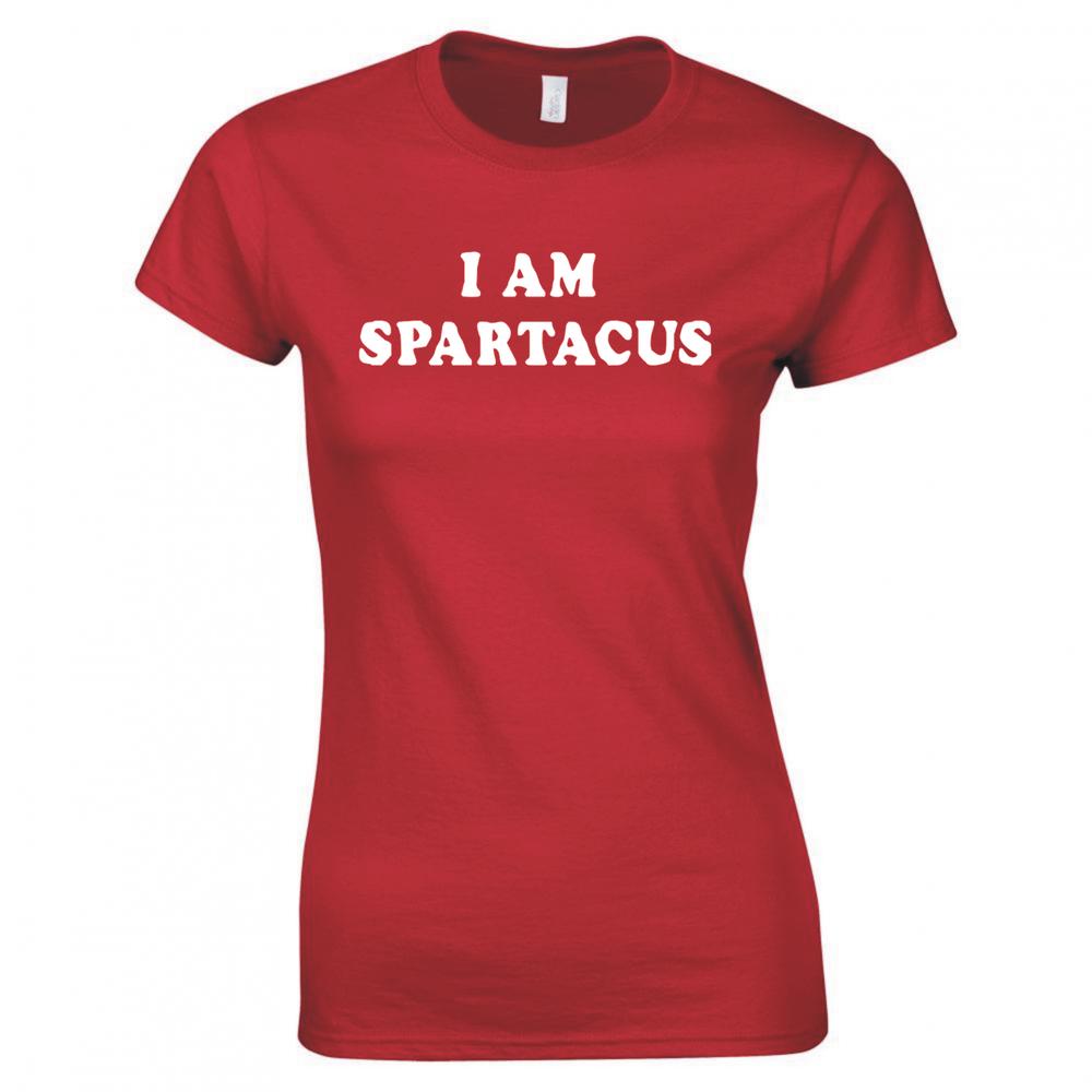 Inspired By Spartacus I Am Spartacus Ladies Skinny Fit TShirt S