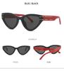 Cat Eye Sunglasses 2315: Trendy European & American Street Style
