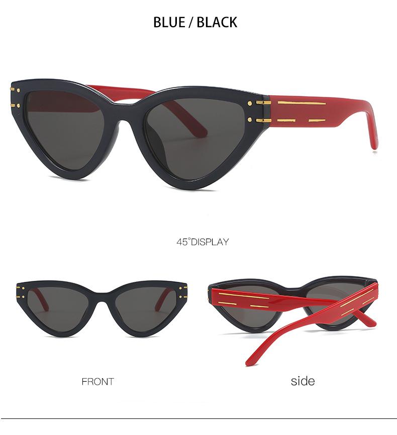 Cat Eye Sunglasses 2315: Trendy European & American Street Style