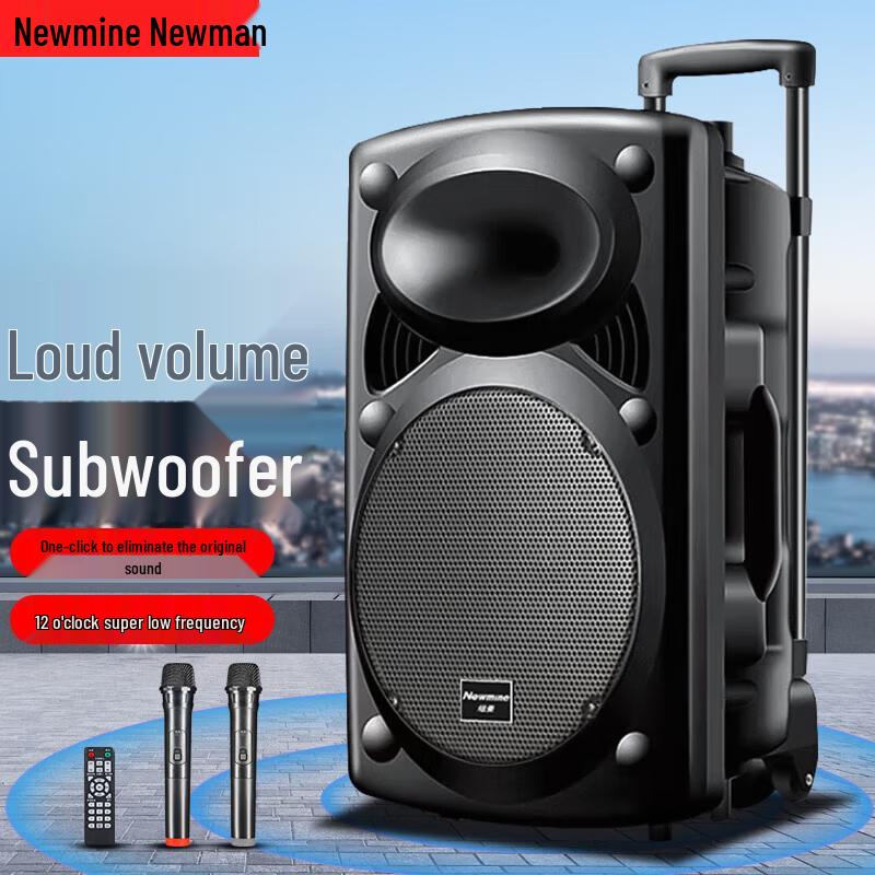 Newman B12 12-Zoll tragbarer Bluetooth-Trolleylautsprecher