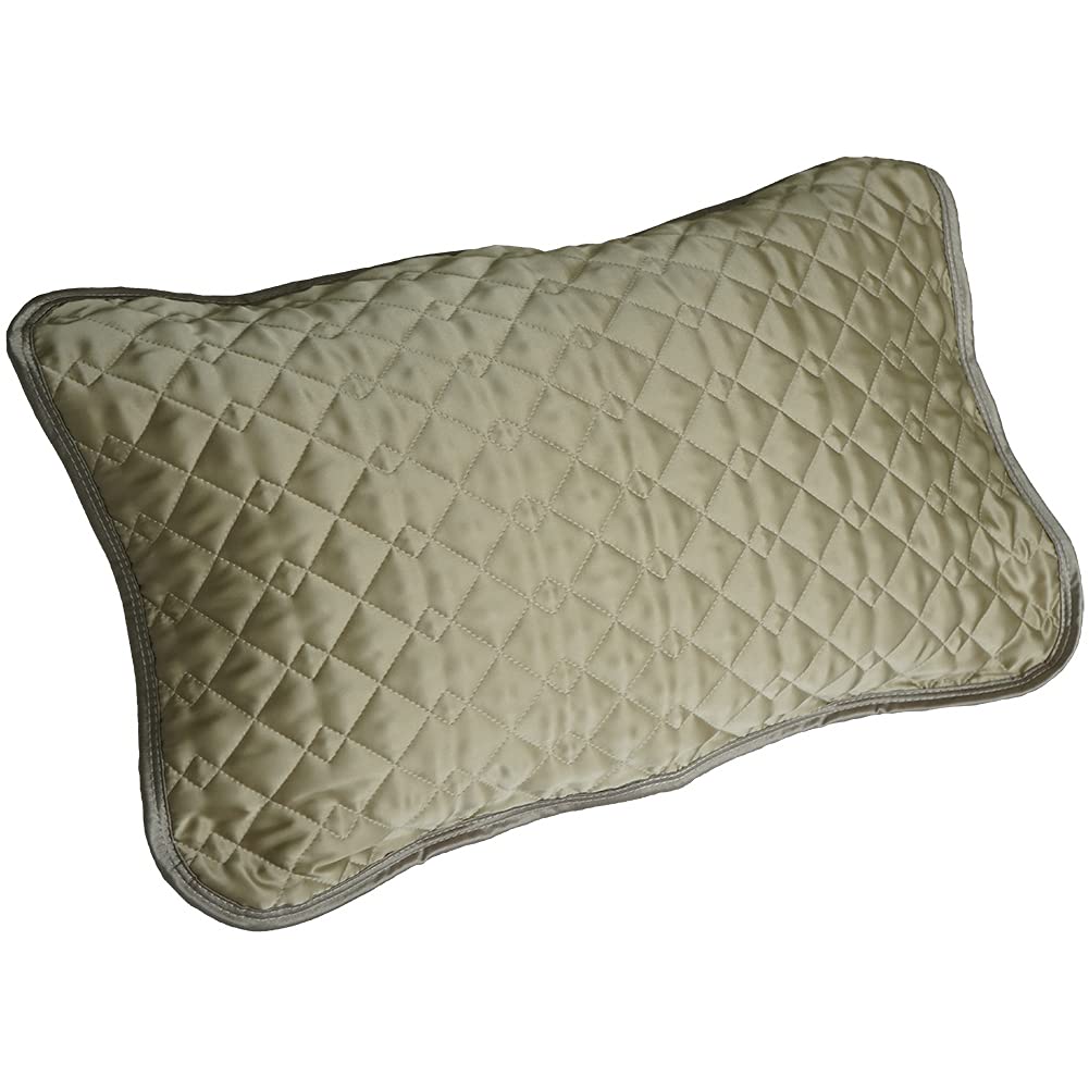 Ee Futonya Silk Pillow Silk Absorbent Hair Skin Care Japanese-Made 100% Pad, 43x63cm, Washable, Moisturizing, Beauty, Satin, Cover, Reversible,