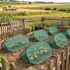 Plant Protection Tent Pop Up Cover Mesh Garden Protector with Ground Stakes Foldable Insect Barrier Netting for Vegetables Flowers Seedlings