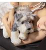 Schnauzer Plush Puppy Doll – Sleeping Pillow & Children's Gift