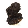 Goethite 766.1 Carats