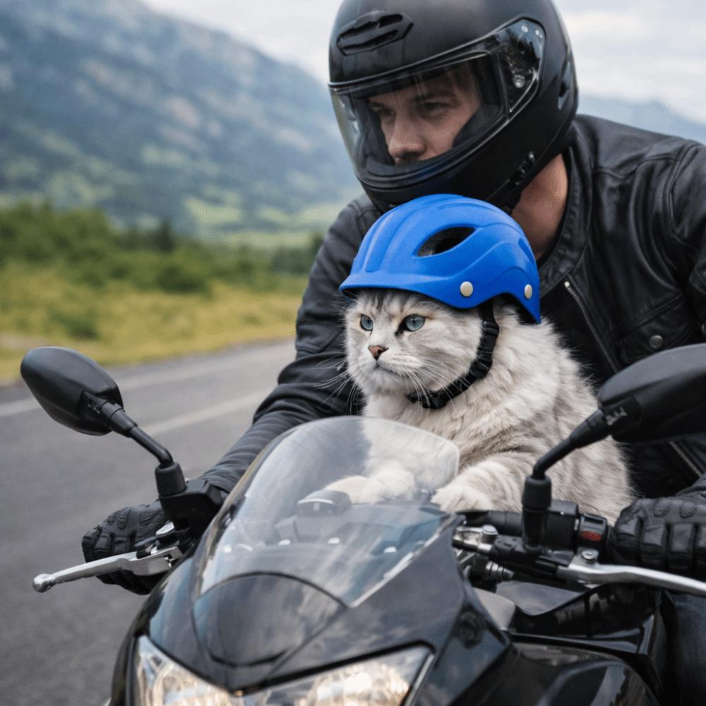 Adjustable Dog Helmet Comfortable Fit Cat Locomotive Helmet Fashion Dog Riding Helmet Traveling