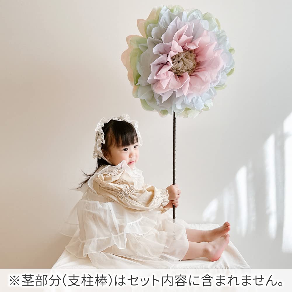 Regalo Paper 100th Day Make Fairy Single 1 Flowers, Decorations, Birthday, Celebration, Flowers, (Rainbow, Flower)