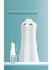 Portable Multifunctional Water Flosser with Large Screen for Teeth Whitening and DIY Oral Care