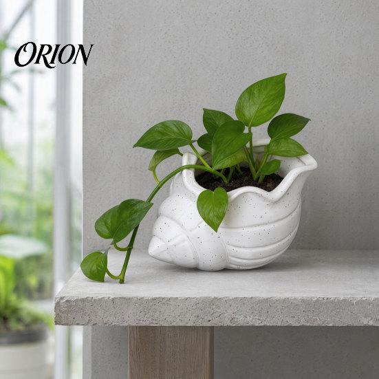 Conch Shaped Planter 3D Printed Flower Pot, Moisture-Resistant Mini with Wavy Edge And Drainage Flowerpot Drain Hole Design, Ocean Style for