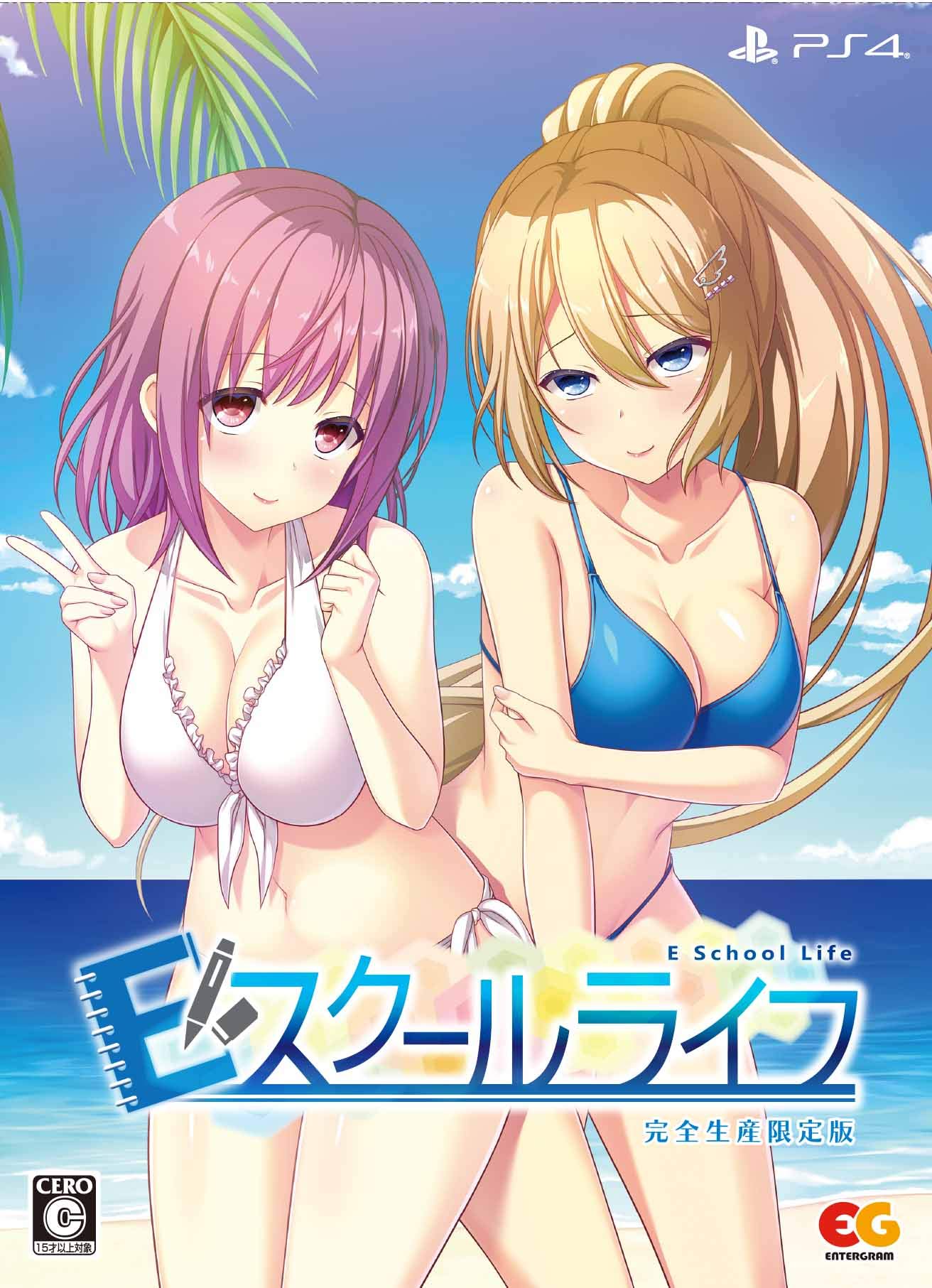 

E School Life Limited Edition PS4 B2 Emi Hanazono SD acrylic illustration theme song CD - (Bonus tapestry, keychain, reproduction, included)